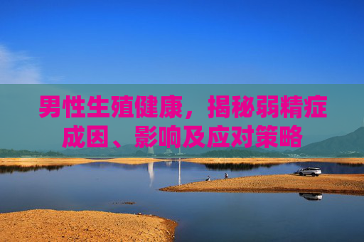 男性生殖健康，揭秘弱精症成因、影响及应对策略