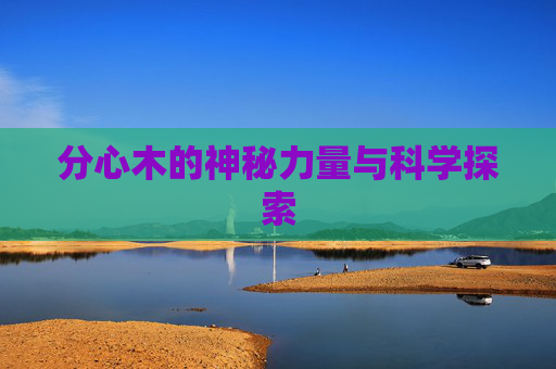 分心木的神秘力量与科学探索 分心木的神秘力量与科学探索