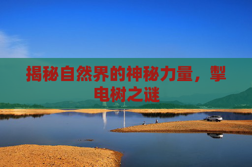 揭秘自然界的神秘力量，掣电树之谜