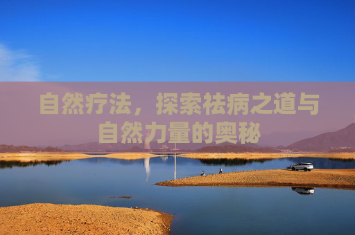 自然疗法，探索祛病之道与自然力量的奥秘