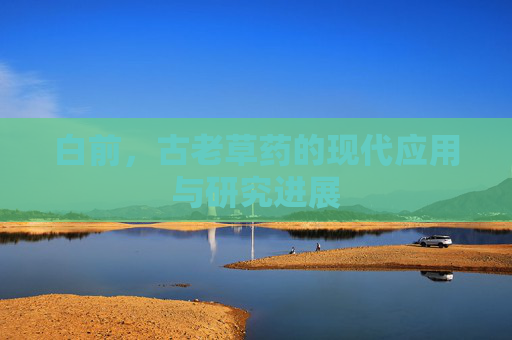 白前，古老草药的现代应用与研究进展