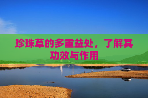 珍珠草的多重益处，了解其功效与作用