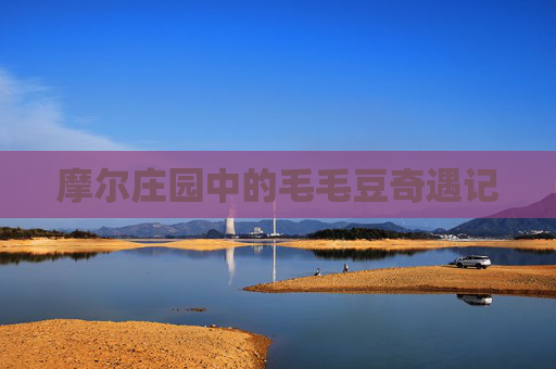 摩尔庄园中的毛毛豆奇遇记