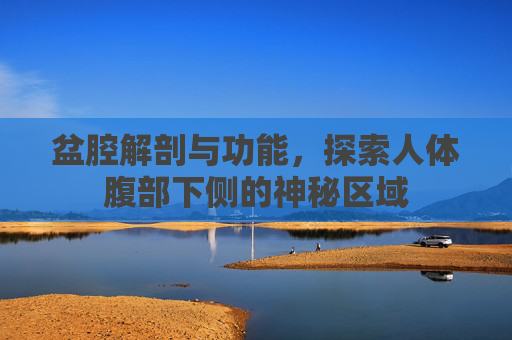 盆腔解剖与功能，探索人体腹部下侧的神秘区域