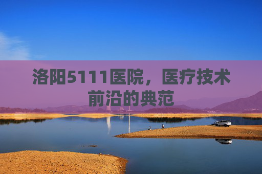 洛阳5111医院，医疗技术前沿的典范