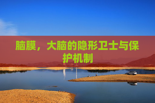 脑膜，大脑的隐形卫士与保护机制