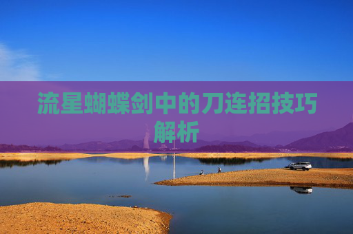 流星蝴蝶剑中的刀连招技巧解析