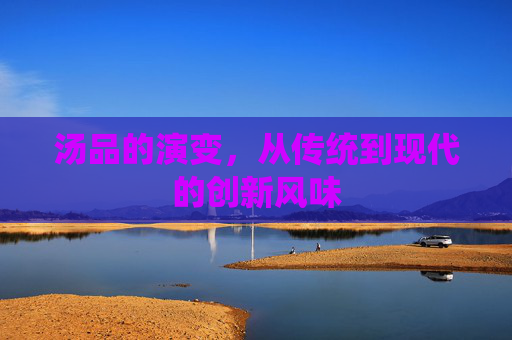 汤品的演变，从传统到现代的创新风味