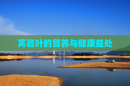 莴苣叶的营养与健康益处
