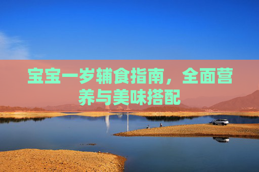 宝宝一岁辅食指南，全面营养与美味搭配