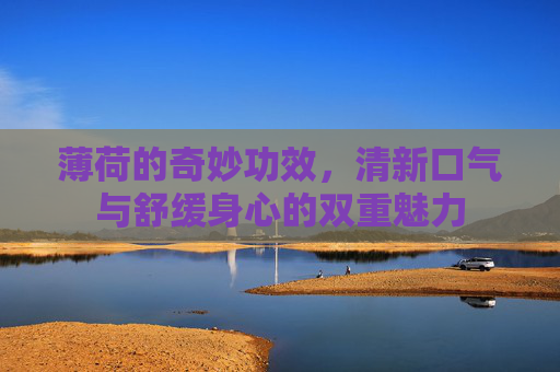 薄荷的奇妙功效，清新口气与舒缓身心的双重魅力