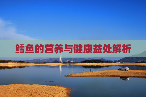 鳕鱼的营养与健康益处解析