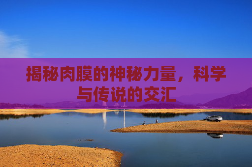 揭秘肉膜的神秘力量，科学与传说的交汇