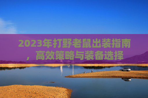 2023年打野老鼠出装指南，高效策略与装备选择