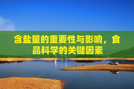 含盐量的重要性与影响，食品科学的关键因素
