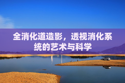 全消化道造影，透视消化系统的艺术与科学
