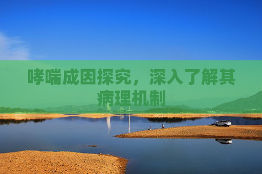 哮喘成因探究，深入了解其病理机制