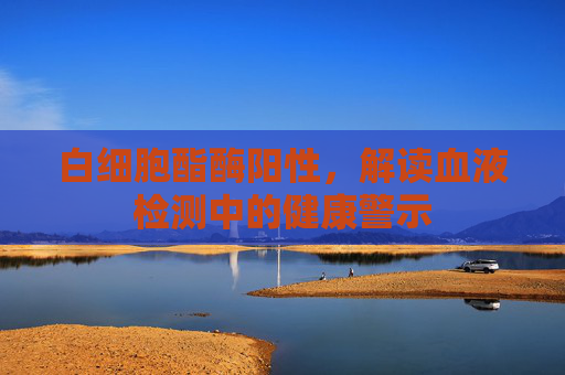 白细胞酯酶阳性，解读血液检测中的健康警示