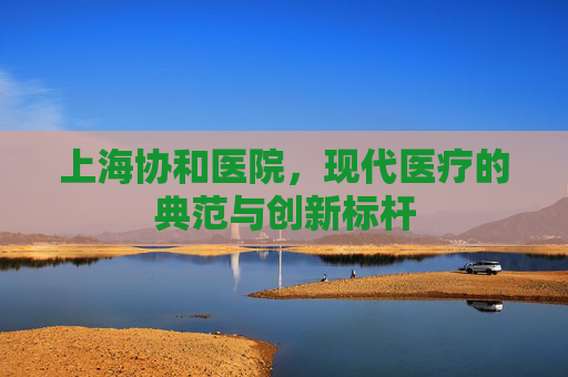 上海协和医院，现代医疗的典范与创新标杆