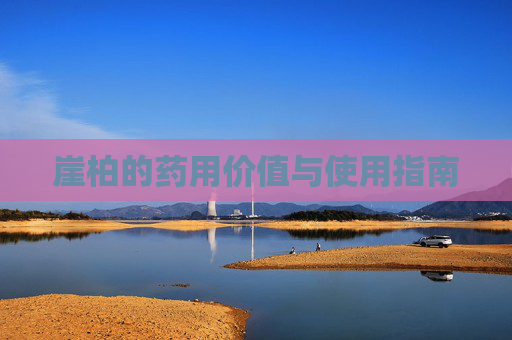 崖柏的药用价值与使用指南