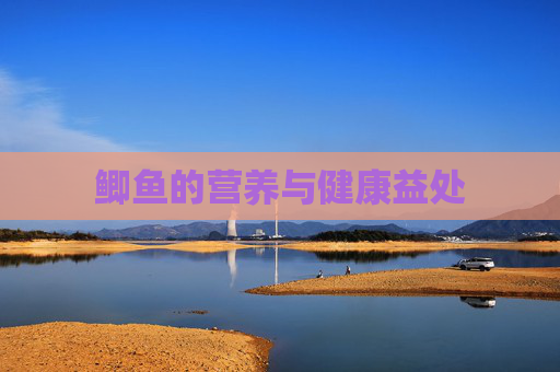 鲫鱼的营养与健康益处