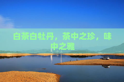 白茶白牡丹，茶中之珍，味中之雅