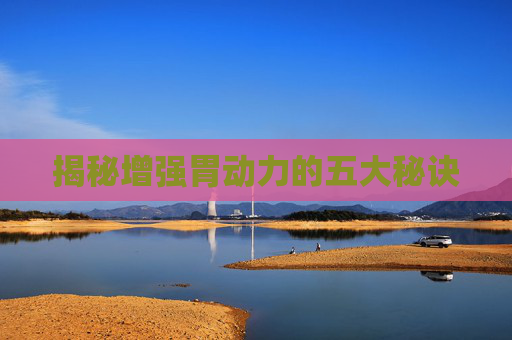 揭秘增强胃动力的五大秘诀