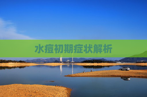 水痘初期症状解析