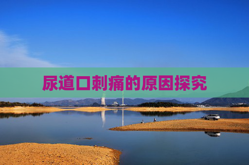 尿道口刺痛的原因探究