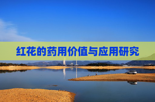 红花的药用价值与应用研究