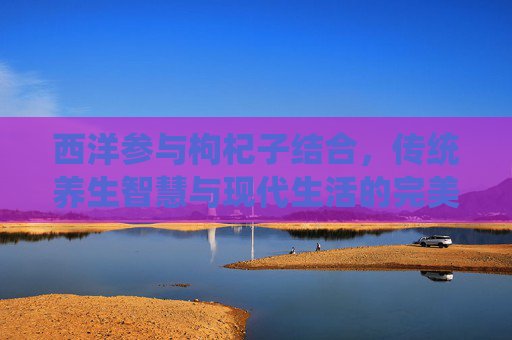 西洋参与枸杞子结合，传统养生智慧与现代生活的完美融合