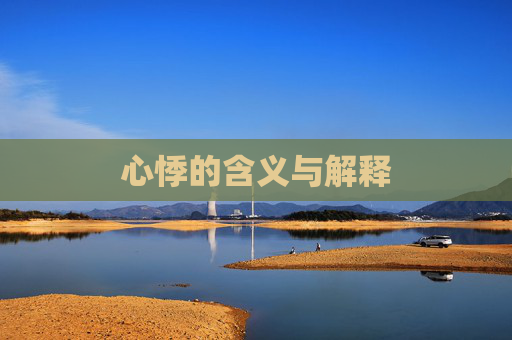 心悸的含义与解释