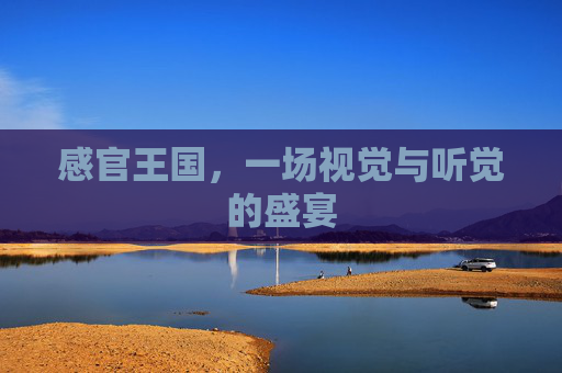 感官王国，一场视觉与听觉的盛宴