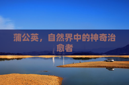 蒲公英，自然界中的神奇治愈者