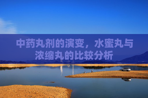 中药丸剂的演变，水蜜丸与浓缩丸的比较分析