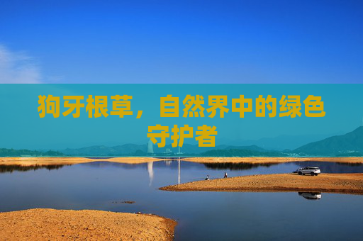 狗牙根草，自然界中的绿色守护者