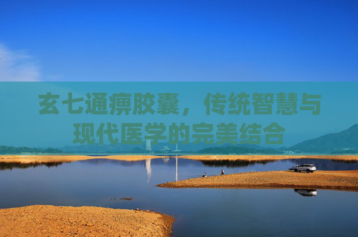玄七通痹胶囊，传统智慧与现代医学的完美结合