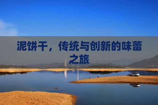泥饼干，传统与创新的味蕾之旅