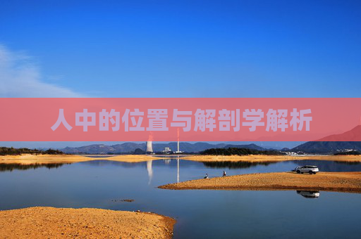 人中的位置与解剖学解析