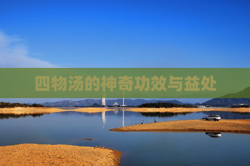 四物汤的神奇功效与益处
