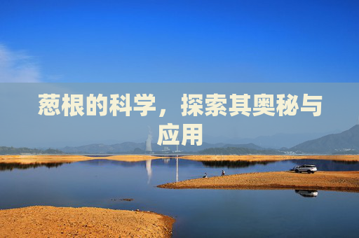 葱根的科学，探索其奥秘与应用