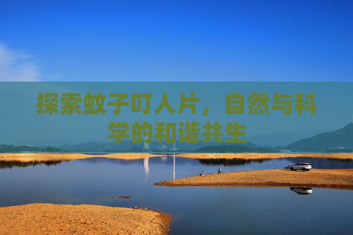 探索蚊子叮人片，自然与科学的和谐共生