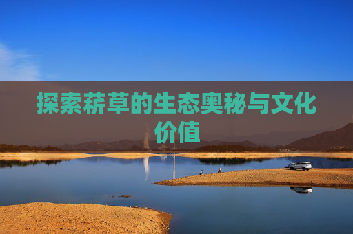 探索菥草的生态奥秘与文化价值