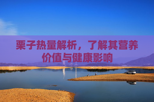 栗子热量解析，了解其营养价值与健康影响
