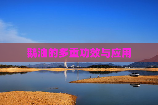 鹅油的多重功效与应用 鹅油的多重功效与应用
