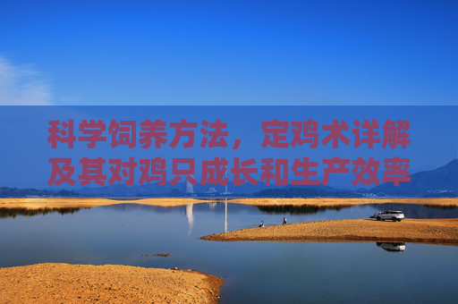 科学饲养方法，定鸡术详解及其对鸡只成长和生产效率的影响