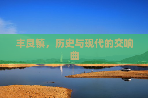 丰良镇，历史与现代的交响曲