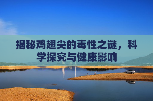 揭秘鸡翅尖的毒性之谜，科学探究与健康影响