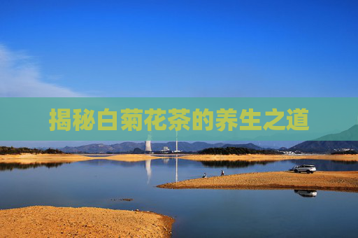 揭秘白菊花茶的养生之道