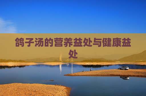 鸽子汤的营养益处与健康益处